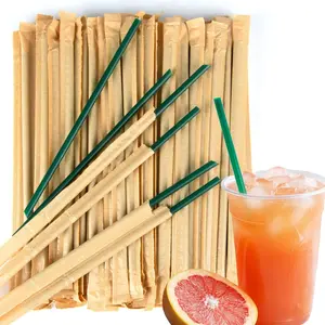 100 count Individually Wrapped Straws - Green Plastic Straws Disposable Plastic Drinking Long Individually Paper Wrapped for  Use Milk Juice Drinks (6 mm)