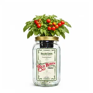 Red Robin Cherry Tomato Indoor Garden Kit – Mason Jar Hydroponic Tomato Grow Kit – Windowsill Countertop Tomato Planter – Grow Tomatoes Indoors