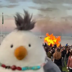 background preload poster image 