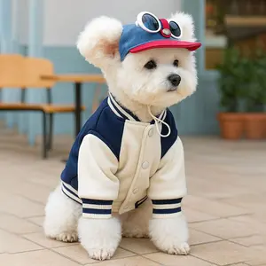 Pet accessories: sun hats, baseball caps, headgear for cats and dogs, sun protection, costume for photo shoots