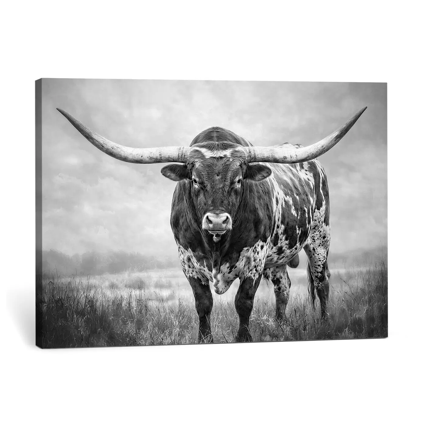 Texas Bull Pattern Canvas Wall Art Print with Walnut Floating Frames Set, Multi-Size Farmhouse Decoration Panels for Restaurant Accents & Gift Use