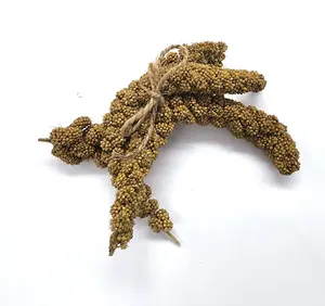 Small Millet Spray for hamsters/rodents/small animals