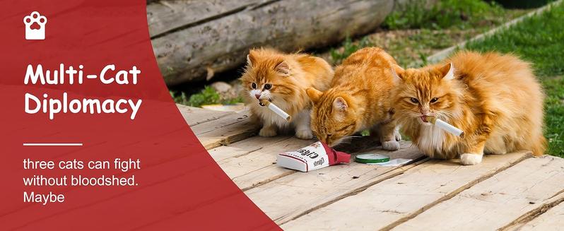 Nocciola 3 Pack Catnip Toys for Cats, Funny Cat Toys Filled with 100% Pure Organic Catnip, Safe Kitten Teething Chew and Kicker Toys, Stress Relieving Fun for Indoor Cats