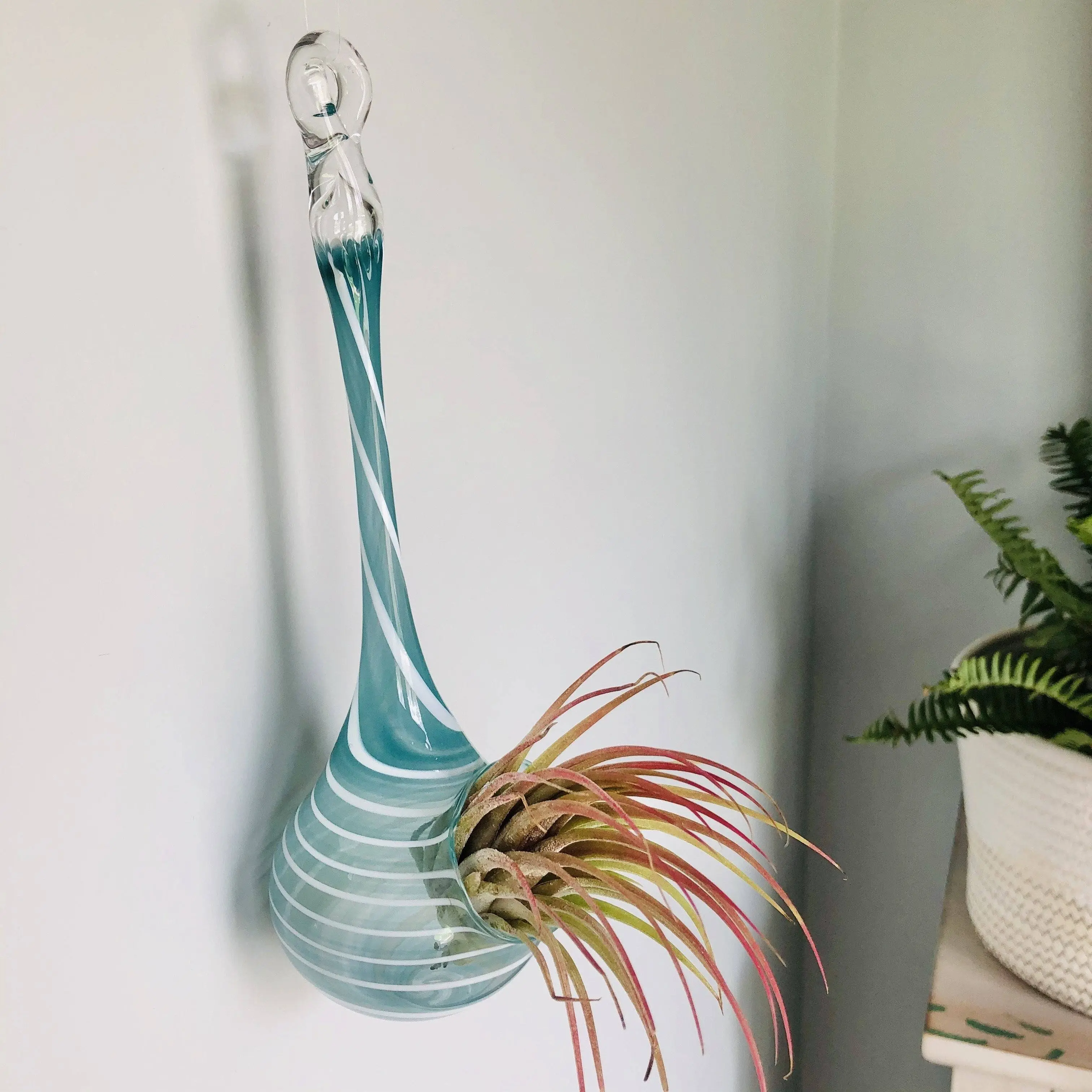 Air Plant Hanging Drop Vase 3