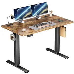 Electric Standing Desk Height Adjustable  Stand Up Sit Stand Computer Desk Workstation Ergonomic Work Table