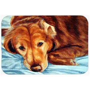 Carolines Treasures  Golden Retriever by Tanya & Craig Amberson Mouse Pad- Hot Pad or Trivet