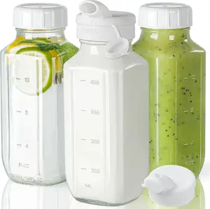 Syntic Glass Juice Bottles with Lids, 3 Pack Clear Glass Water Bottles with 2 Pour Spouts, 16 Oz Reusable Glass Bottles with Airtight Caps and Scale Markings for Juices, Smoothies, Beverage Storage and Daily Use