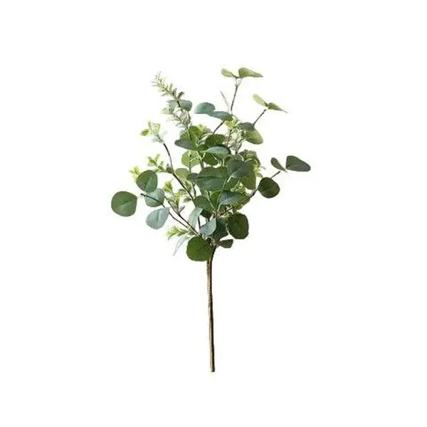 Carawyn Mixed Eucalyptus Bush | 18″