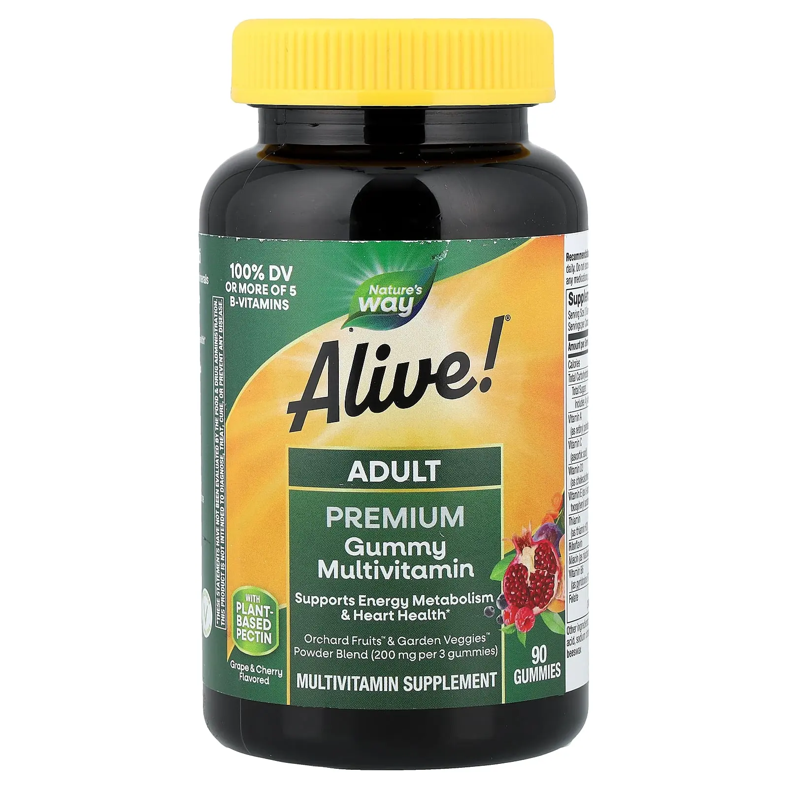 Nature's Way Alive!®, Adult Premium Gummies Multivitamin, Grape and Cherry, 90 Gummies