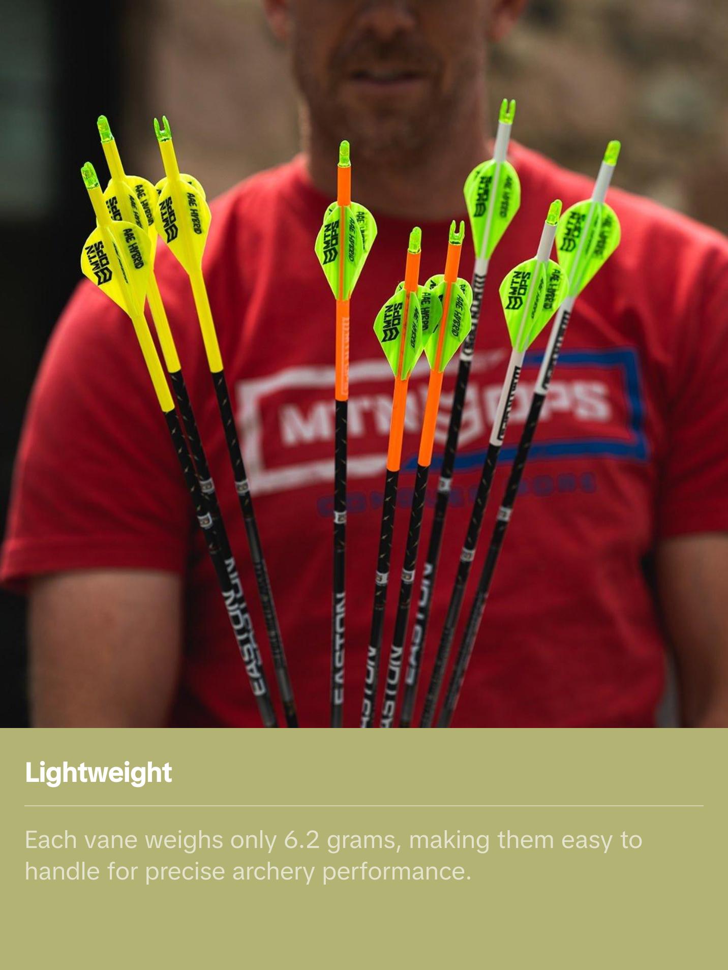 AAE HYBRID - HP ARROW VANES