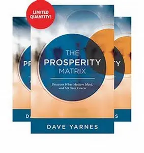 USED-The Prosperity Matrix by Dave Yarnes (Paperback)