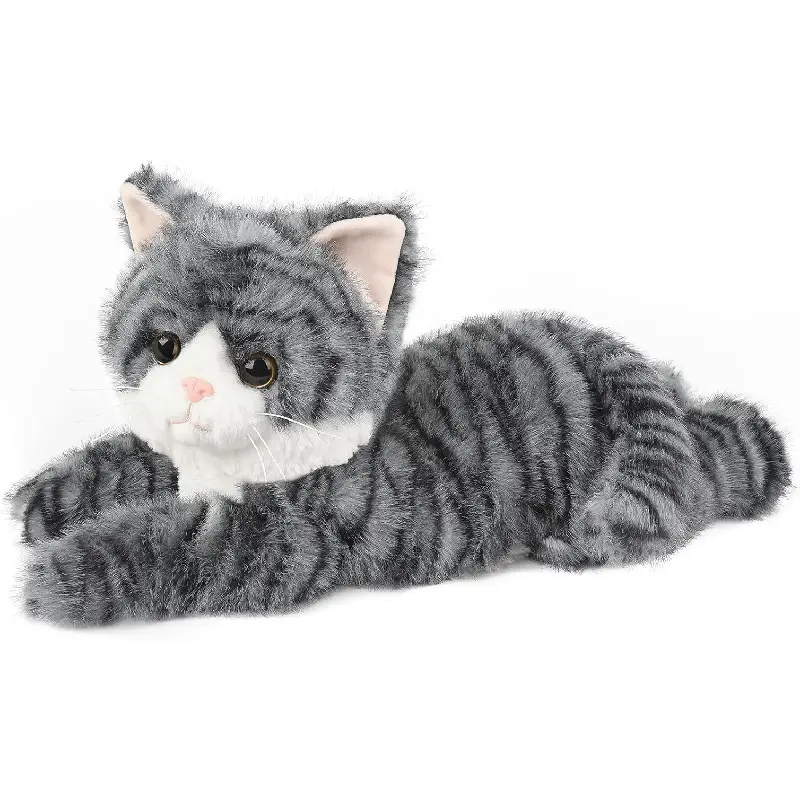 Gray Tabby Cat