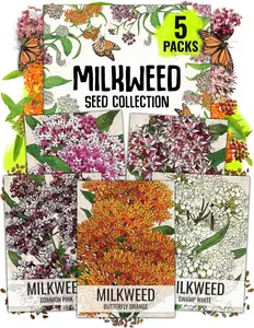 Seed Needs Milkweed Seeds for Planting a Butterfly Garden to Attract Monarch Butterflies - Collection of Pink, Orange & White Asclepias Milk Weed Variety Pack (5 Packs)