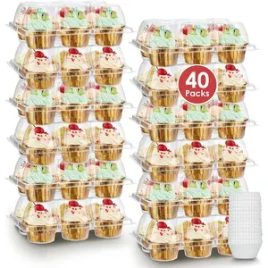 (6 Count x 40 Sets) Stackable Cupcake Containers with 240 Pack Liners, Plastic Cupcakes Boxes Holders for 6 cakes, High Tall Dome Lid Cupcakes Carrier, Clear Cupcake Trays/Containers/Holders