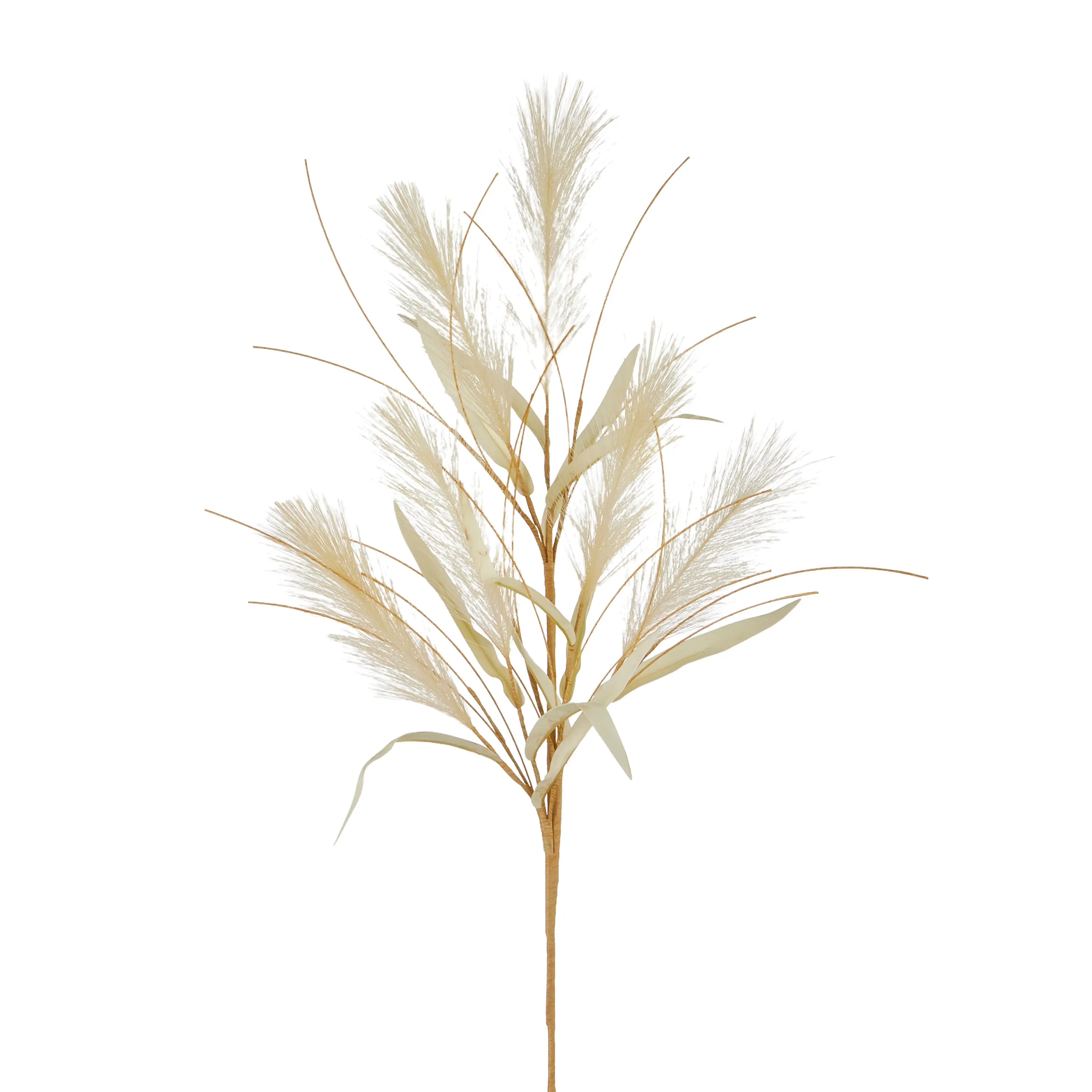 Dried Grass Spray