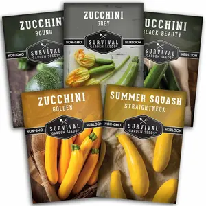 Survival Garden Seeds Zucchini & Squash Collection - Golden Round Black Beauty Straight Neck Heirloom Non-GMO Vegetable Seeds for Home Planting