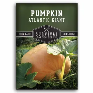 Atlantic Giant Heirloom Pumpkin Seeds