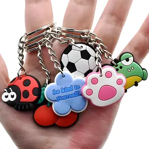 Random Keychains - Gift, Not for Sale