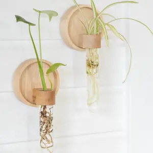 Propagation Wall Hanging Station — Set of 2