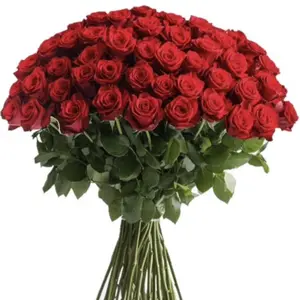 50 stem red roses