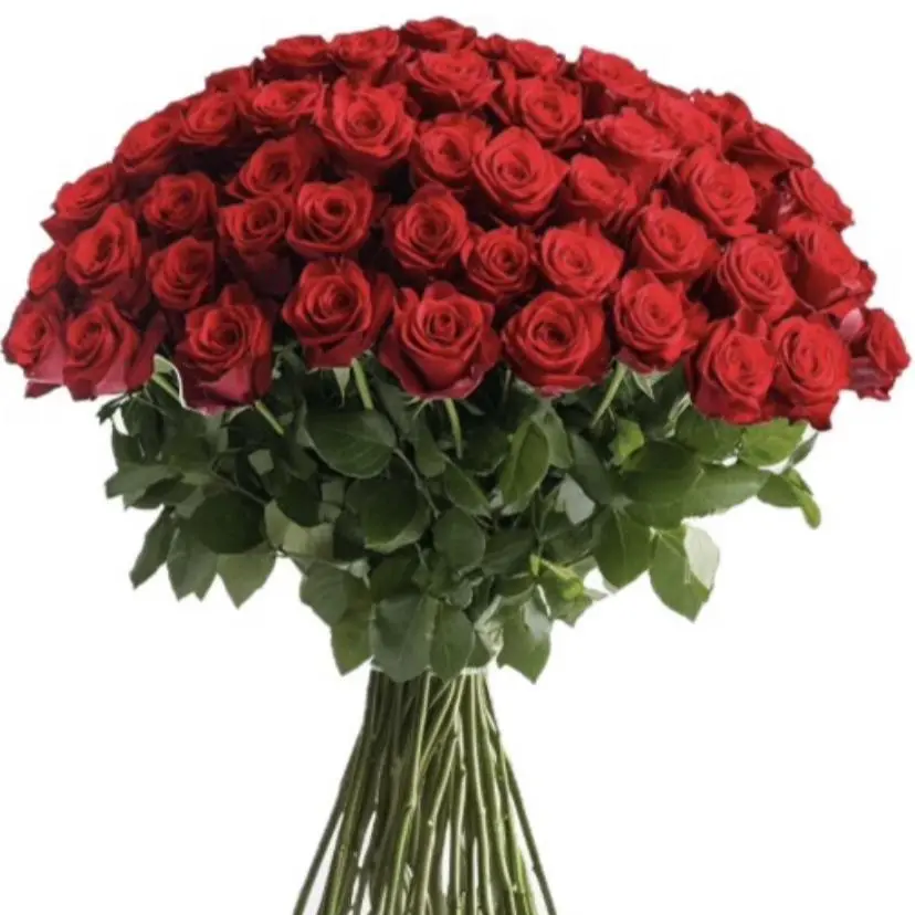 50 stem red roses