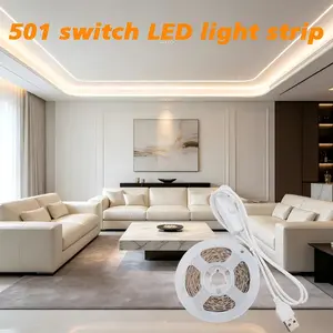 An LED light strip equipped with 501 switch, available in warm/white color, USB powered. It can be used in living rooms, bedrooms, kitchens and other scenes, and can be used to decorate various holiday parties, Ambient Lights.