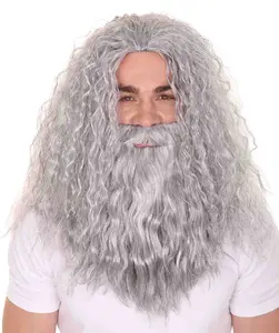 HPO  Adult Grey men's Wig & Beard for Cosplay Wizard -perfect for Cosplay & Halloween Costume Party. Flame Retardant Synthetic Fiber