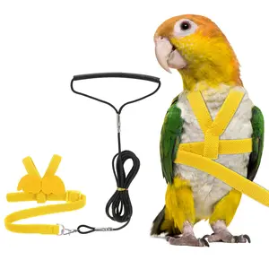 PETAXCELL Bird Harness Leash, Adjustable Pet Parrot Bird Harness and Leash Lightweight Anti-Bite Flight Training Rope with Cute Wing, (Yellow, S), Intended for Parrots/Pigeons/Budgies