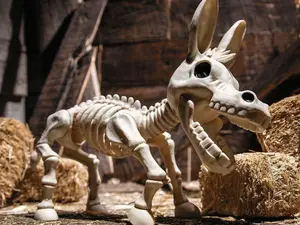 Standing Donkey Skeleton - 9 1/4 In - Halloween Animal Prop