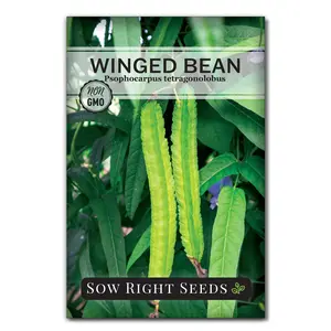 Winged Bean Seeds Winged Bean Seeds