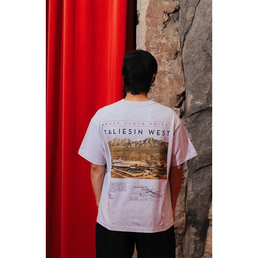 PacSun Men's Frank Lloyd Wright Taliesin West T-Shirt - Multicolor
