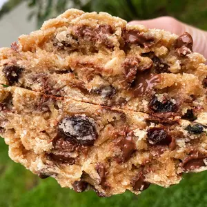Oatmeal Raisin/Chip