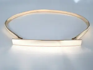 Women Skinny Metal Cinch Belt Gold Waistband Elastic Waist Belt