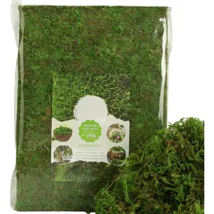 Moss for Potted  Indoor, 2LBS Large Capacity Artificial Green Moss for DIY Crafts, Faux Moss for Table Centerpieces Fairy Garden Terrariums Decor (32OZ)