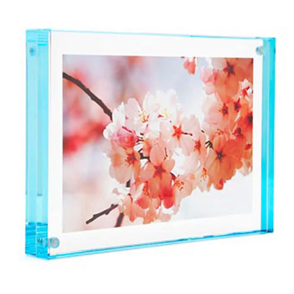 Canetti Color Edge Magnet Frame, 4x6", Aqua