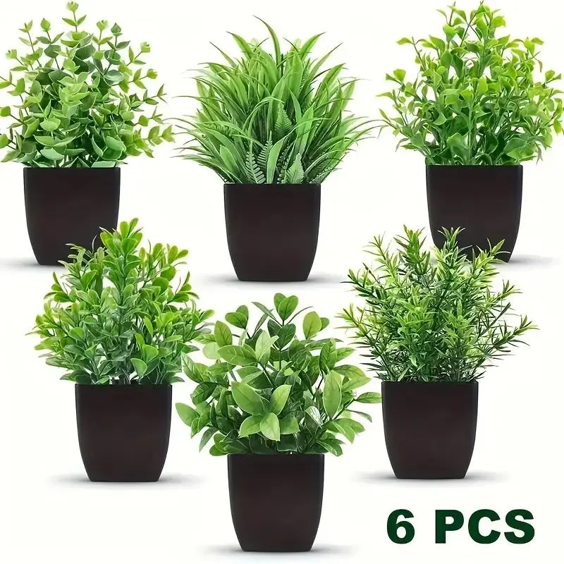 chilli plant seeds IPS014 main image 1