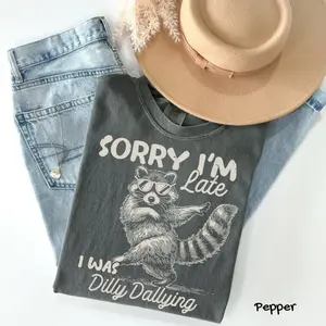 Comfort Colors Funny Raccoon Sorry I'm Late I Was Dilly Dallying T-Shirt, Sarcastic Humor Tee, Cute Trash Panda Graphic Shirt, Trendy Meme Gift, For Woman, Womenswear's Top