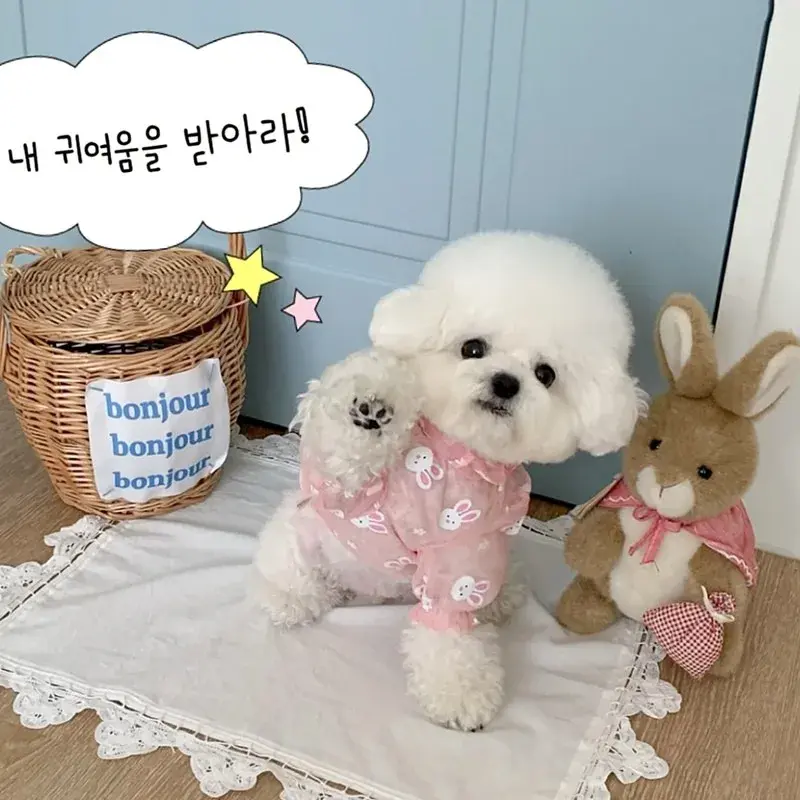 Breathable Mesh Dog Jumpsuit | Summer Pet Cooling & Insect Protection | Cute Cartoon Rabbit Design | Small Dog Apparel