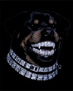 ROTTWEILER DECAL