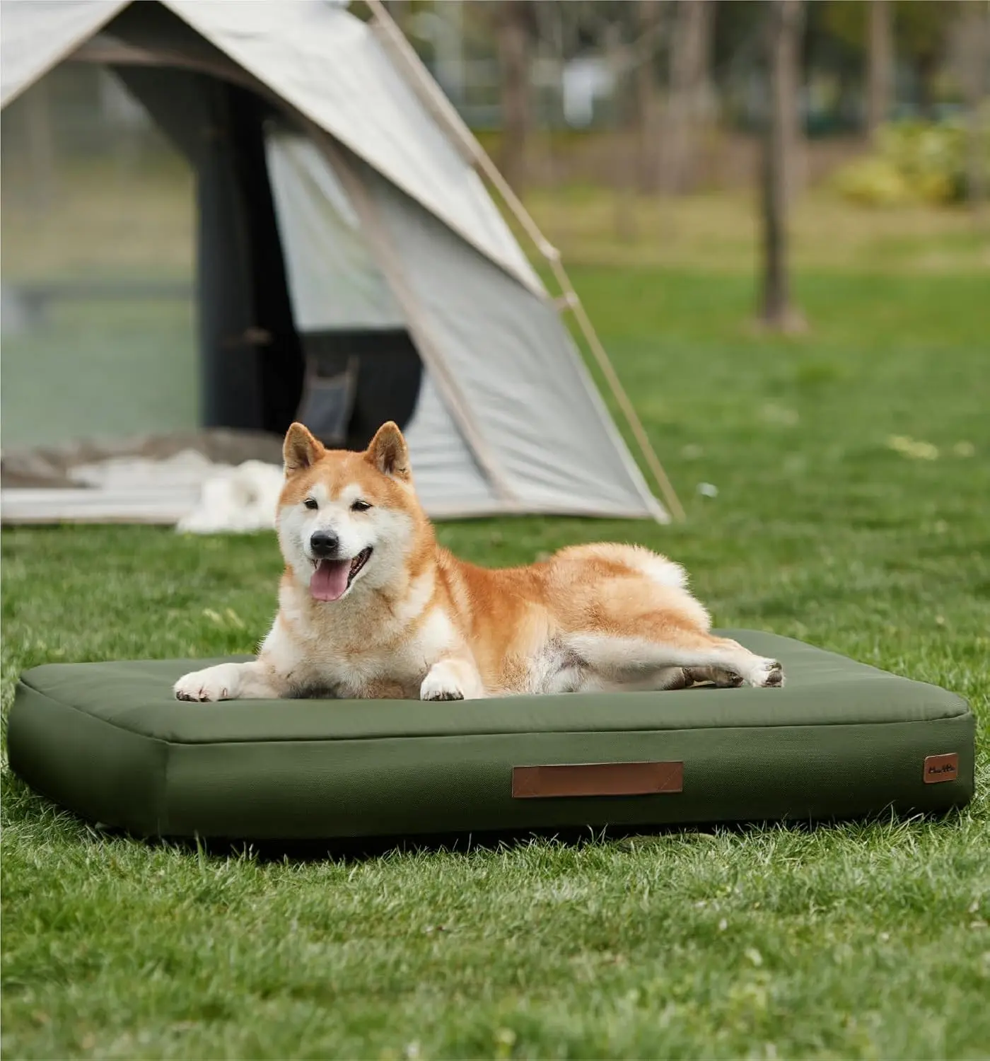 MADE 4 PETS Outdoor Waterproof Inflatable Dog Bed – Self-Inflating Travel Bed for Small & Medium Dogs, Foldable Portable with Built-in Pump, Oxford Fabric Dog Mat, Green
