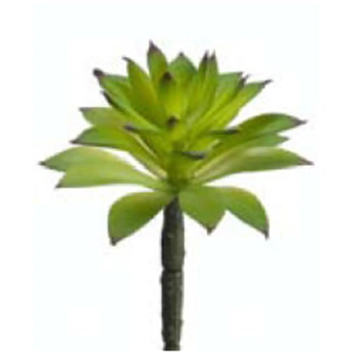 212 MAIN CS1564-GR 6 in. Stylish Artificial Plastic Succulent Green Plants, Decorative Pack - Pack of 24, Artificial Plants, Plastic Plants