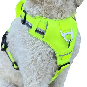 Arcadia Dog Harness Medium