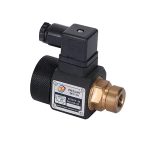 Zhengquan JCS-02N/H/NL/NLL JCD-02S Hydraulic Pressure Relay Switch Pressure Sensor Pressure Control Valve Switch Relay in Stock Factory material of plated red copper copper outer teeth