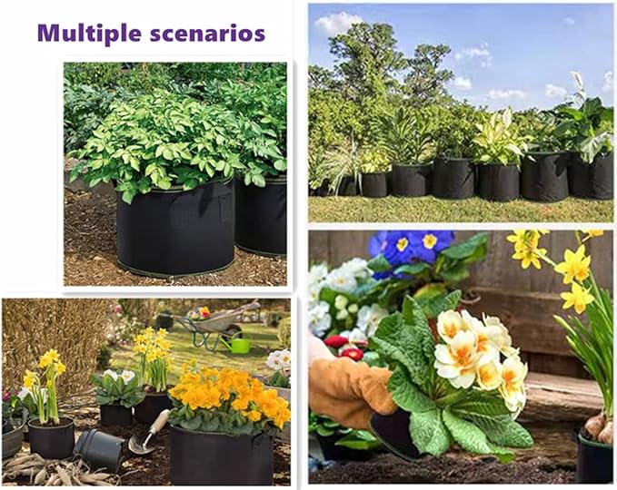Set of 5 Plant Growth Bags, Available in Sizes 3 Gallons. These Durable Fabric Pots Are Designed for Optimal Aeration And Are Made from Thickened Nonwoven Material, Featuring Flap Handles for Easy Handling