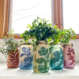 Garden Jars - Organic Herbs in Glass Containers