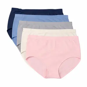 【SIGNATURE COLLECTION】5-Pack Under Control Tummy Control Briefs | Seamless High Waisted Panties – PLUS SIZE