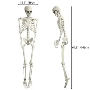 5.4FT Poseable Skeleton Prop Life Size Plastic Halloween Human Bones Skeleton Party Supplies