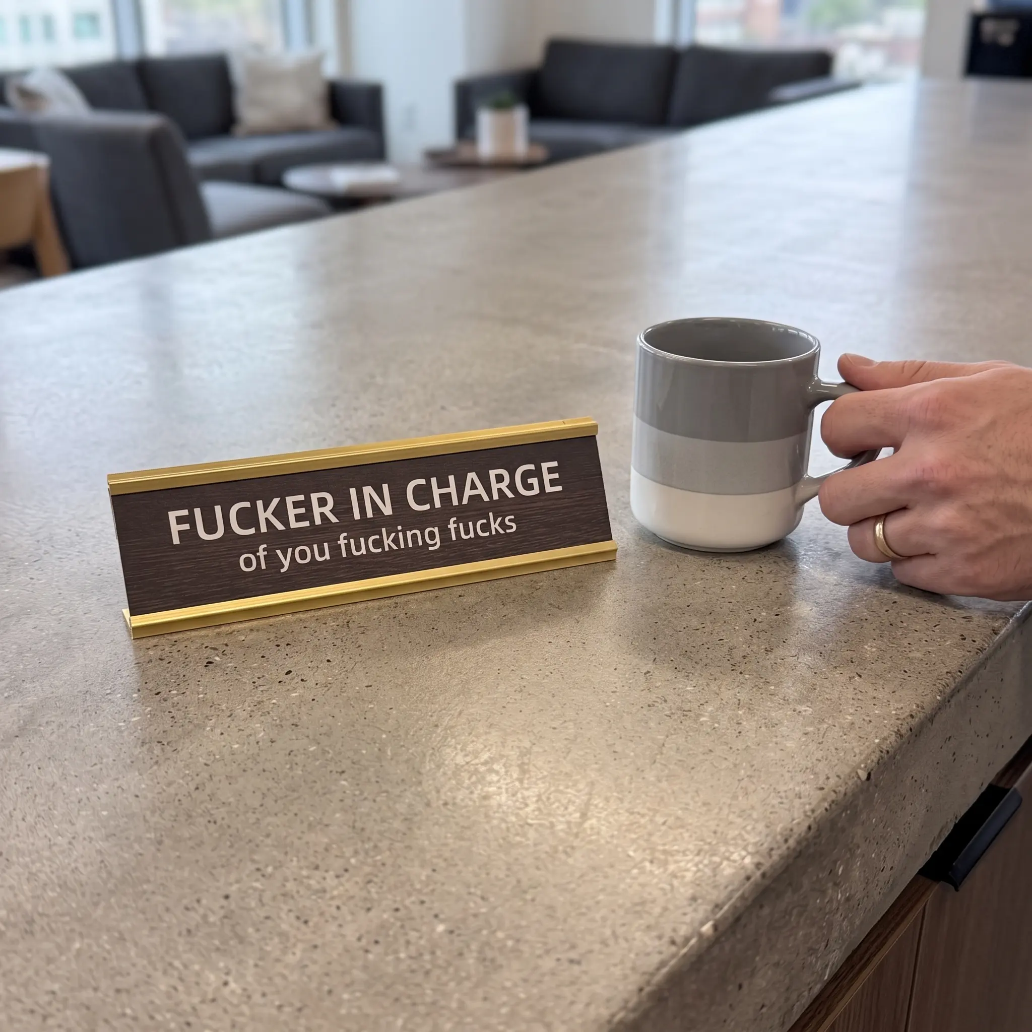 Wooden Executive Desk Sign - Decorative Plaque with Customizable Text, Funny Gag Gift, Creative Desktop Decoration, Novelty Desk Decor for Boss (Office Stationery Sign Kit)