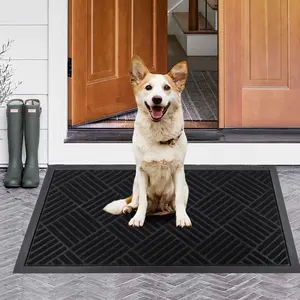 Indoor Outdoor Front Door Mat, All Weather Non-Slip Rubber Outside Entrance Door Mat, Low Profile Rug, Welcome Mat for Backdoor Patio Porch Garage Entryway  Absorbent Microfiber Dog Door Mat for Muddy Paws, Non-Slip Washable Pet Rug (Dark Grey,29.5"x17")