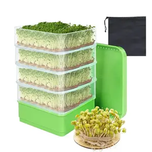 Home Seed Sprouter Kit with Lid- Soilless Germination Tray for Quick, Easy Growing & Fresh Daily Greens (Ideal For Beginners!)